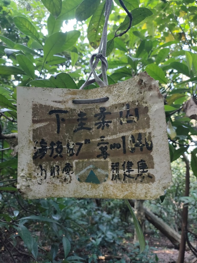 樹上的登山指示牌