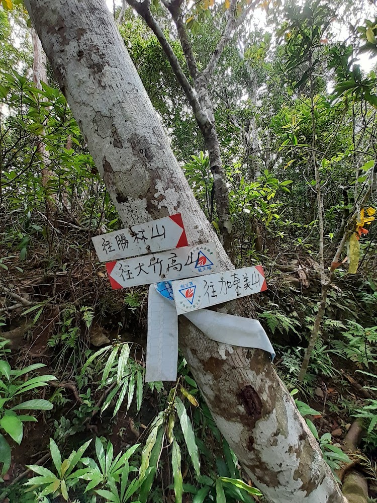 加奈美山林道指標樹
