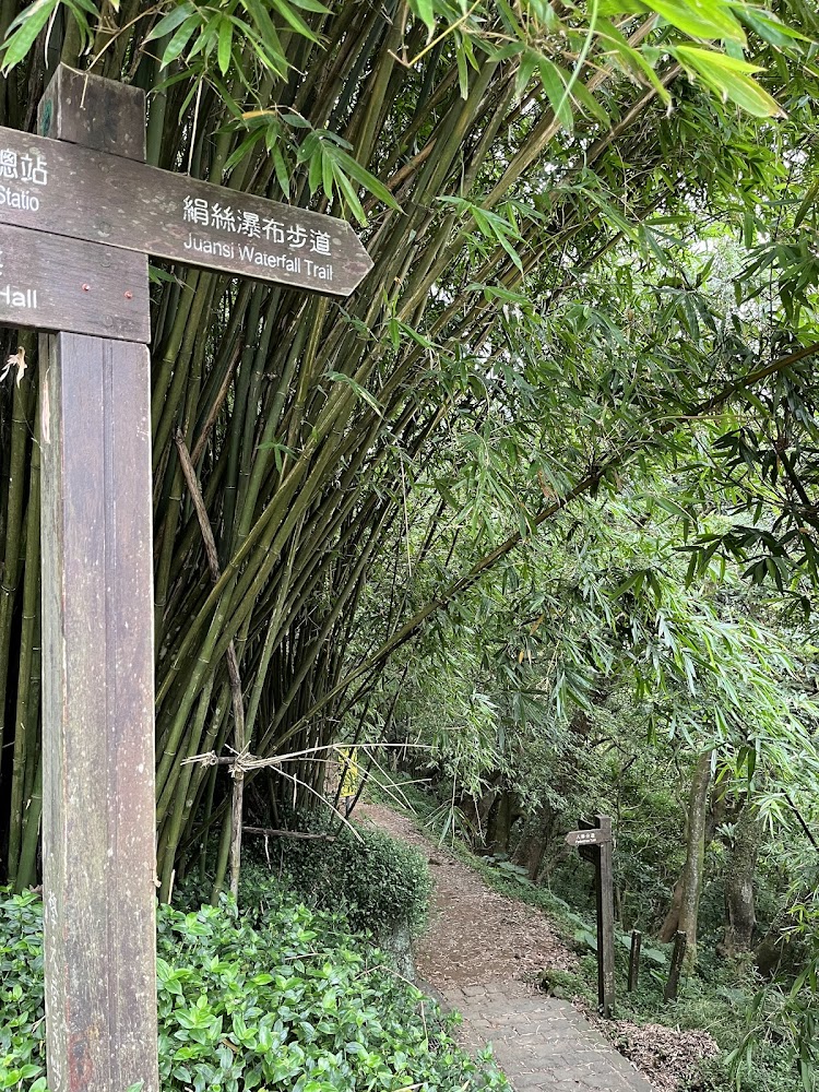 竹林中的絹絲瀑布步道指示牌