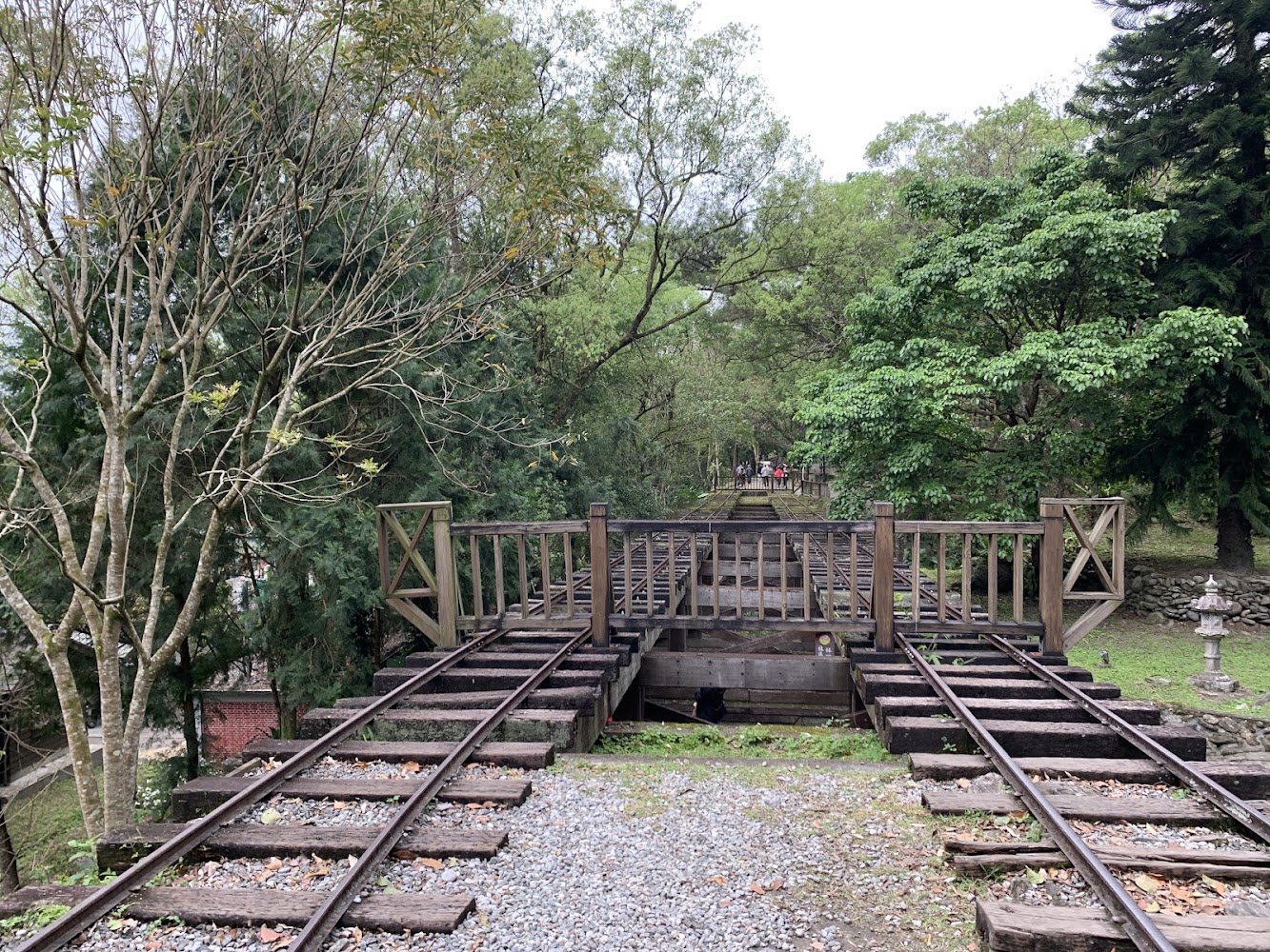 穿越森林的鐵道與木質鐵道橋
