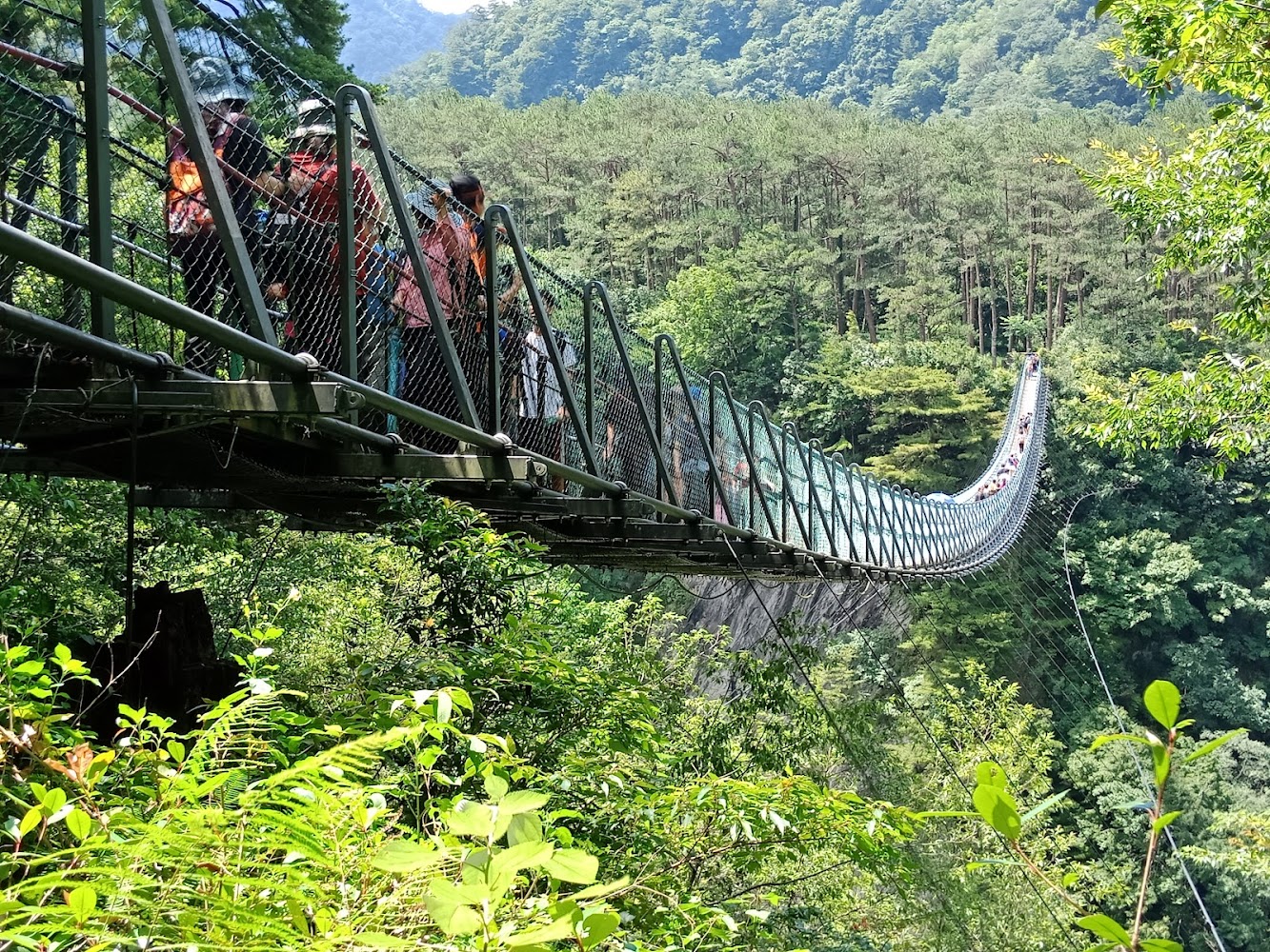 奧萬大吊橋橫越森林峽谷