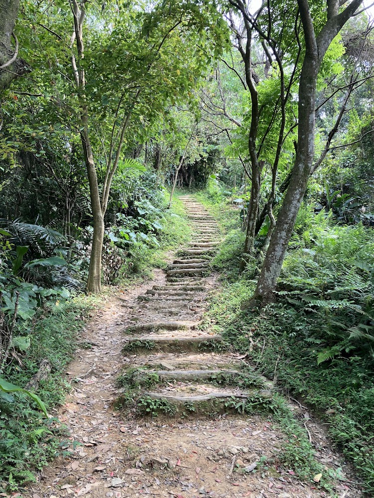 青龍嶺林間步道
