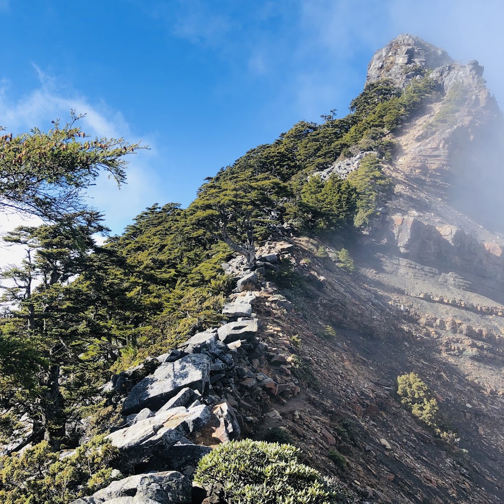 松樹覆蓋山坡與藍天下的大霸尖山岩峰