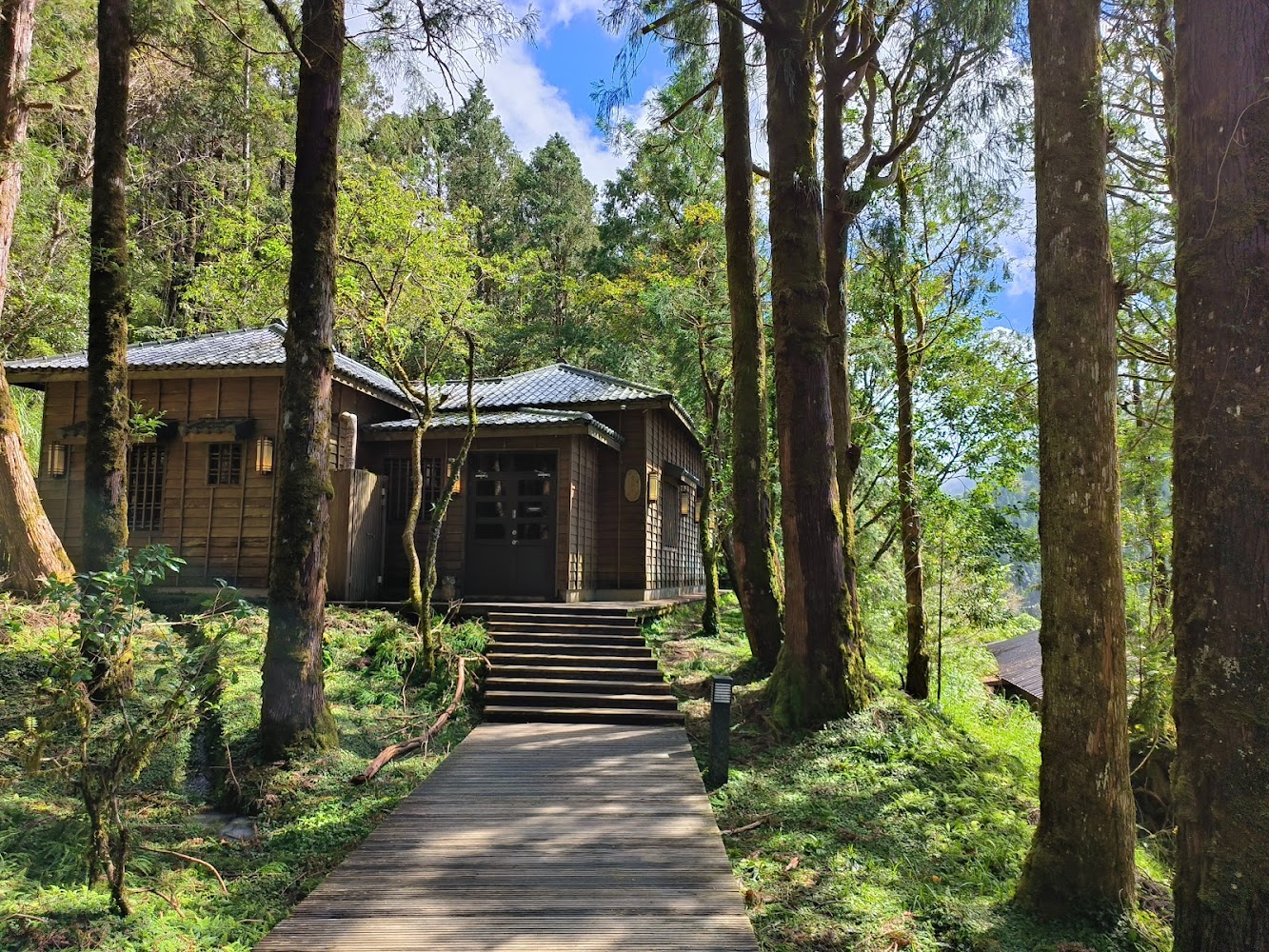 森林中的木屋與木棧道