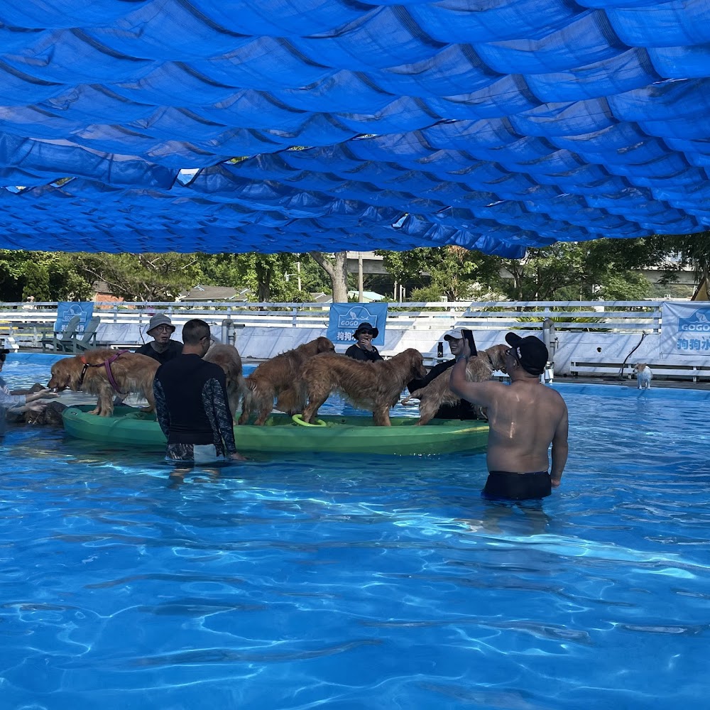 GoGo WaterWorld 狗狗水世界泳池活動