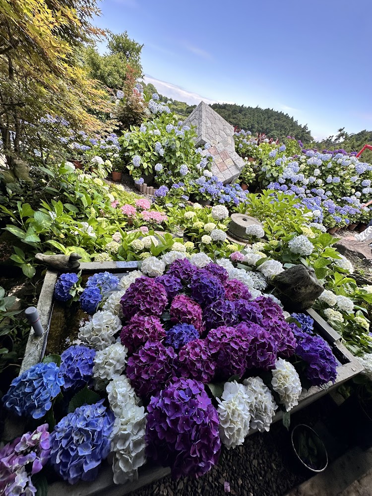 繡球花園中的石造水池與石造建築