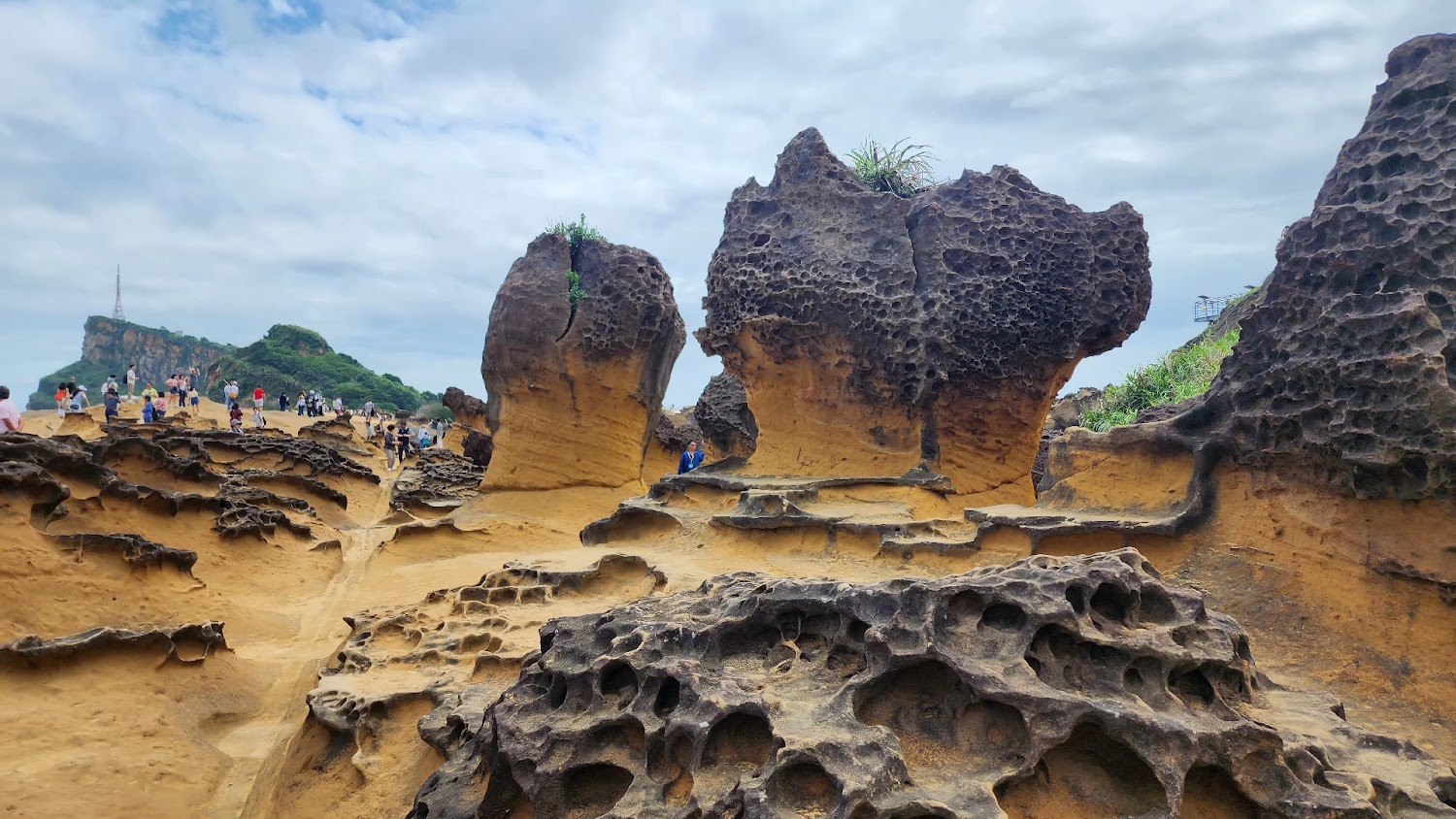 野柳地質公園女王頭與周邊蜂窩岩景觀