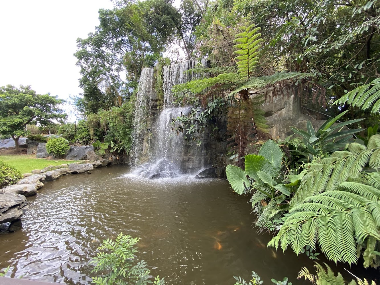 瀑布池塘與綠意造景