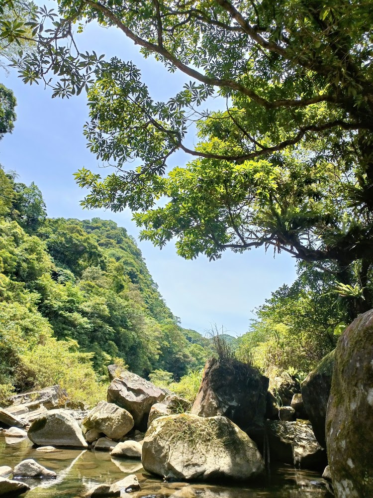 自然溪谷中的岩石與陽光灑落景色