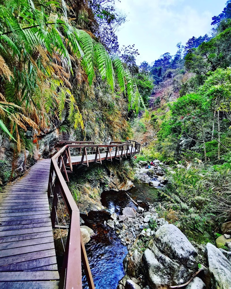 蝴蝶谷瀑布登山口山壁旁木棧道