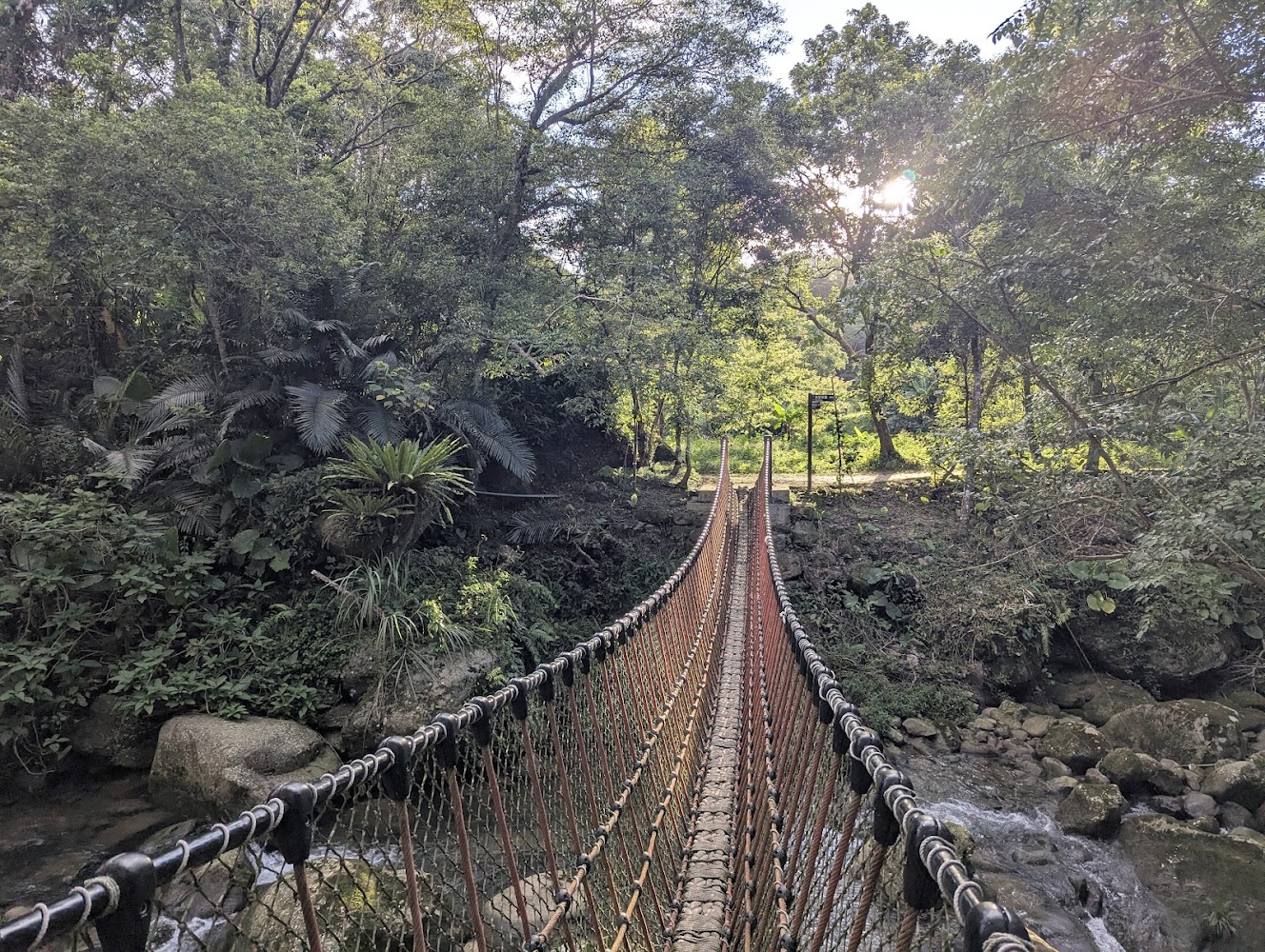 森林中的吊橋與溪谷