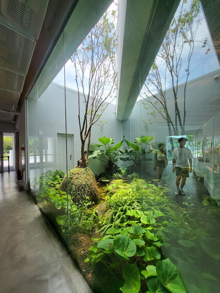 室內玻璃溫室與綠色植物