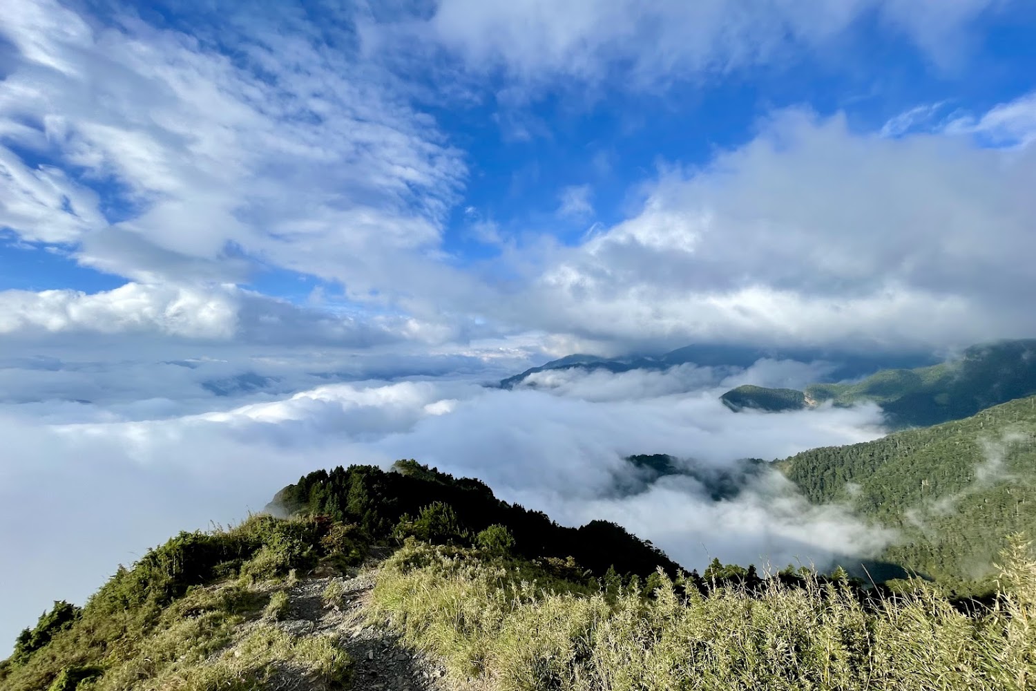 壯麗山景與雲海前景為草地與樹林