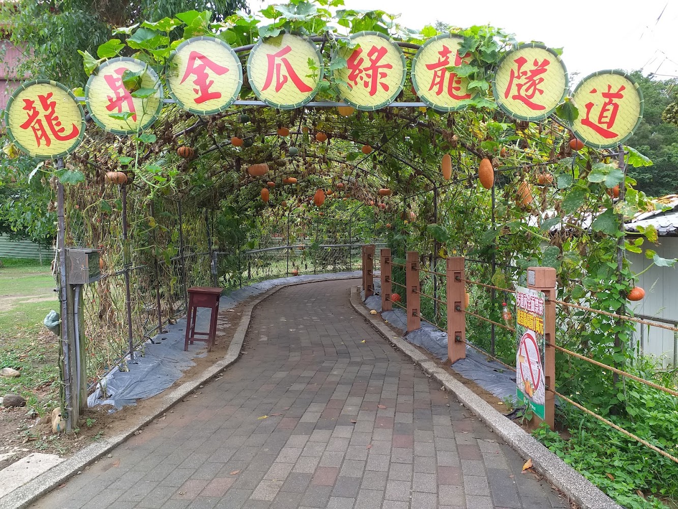 龍鼻金瓜綠廊隧道步道