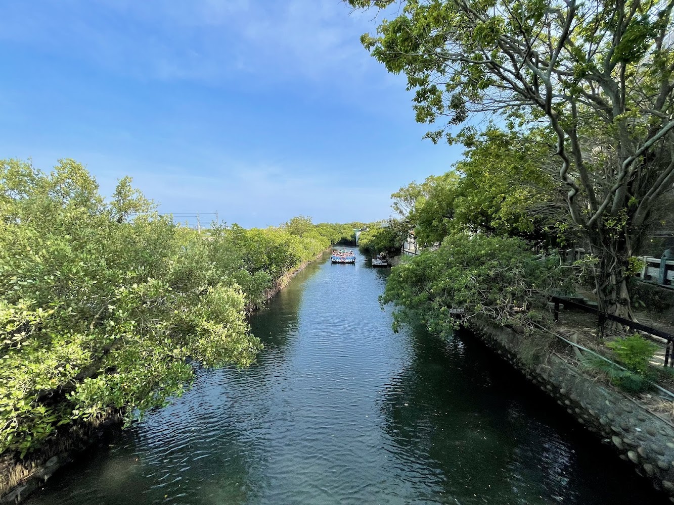 河道上可見船隻與藍天白雲的綠色水道景觀