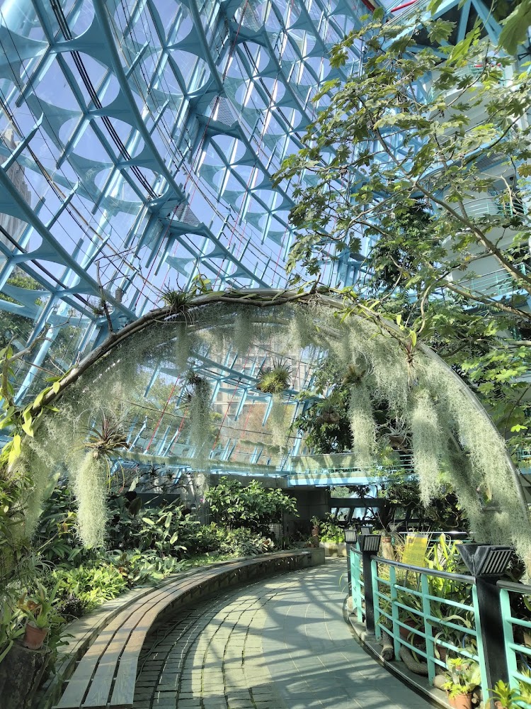 植物園熱帶雨林溫室玻璃屋頂與綠色植栽空間