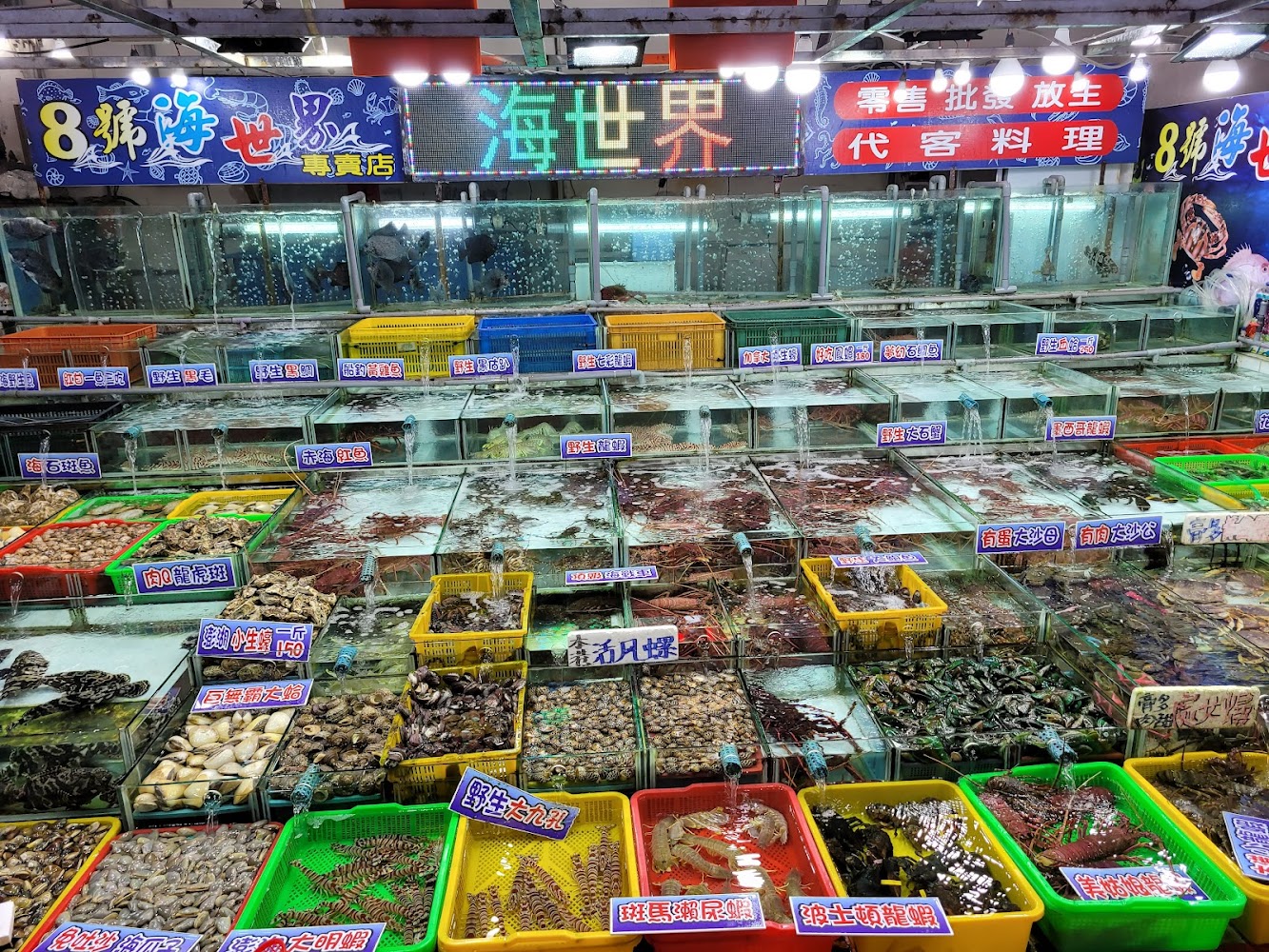 八斗子觀光漁港內多種活體海鮮水槽