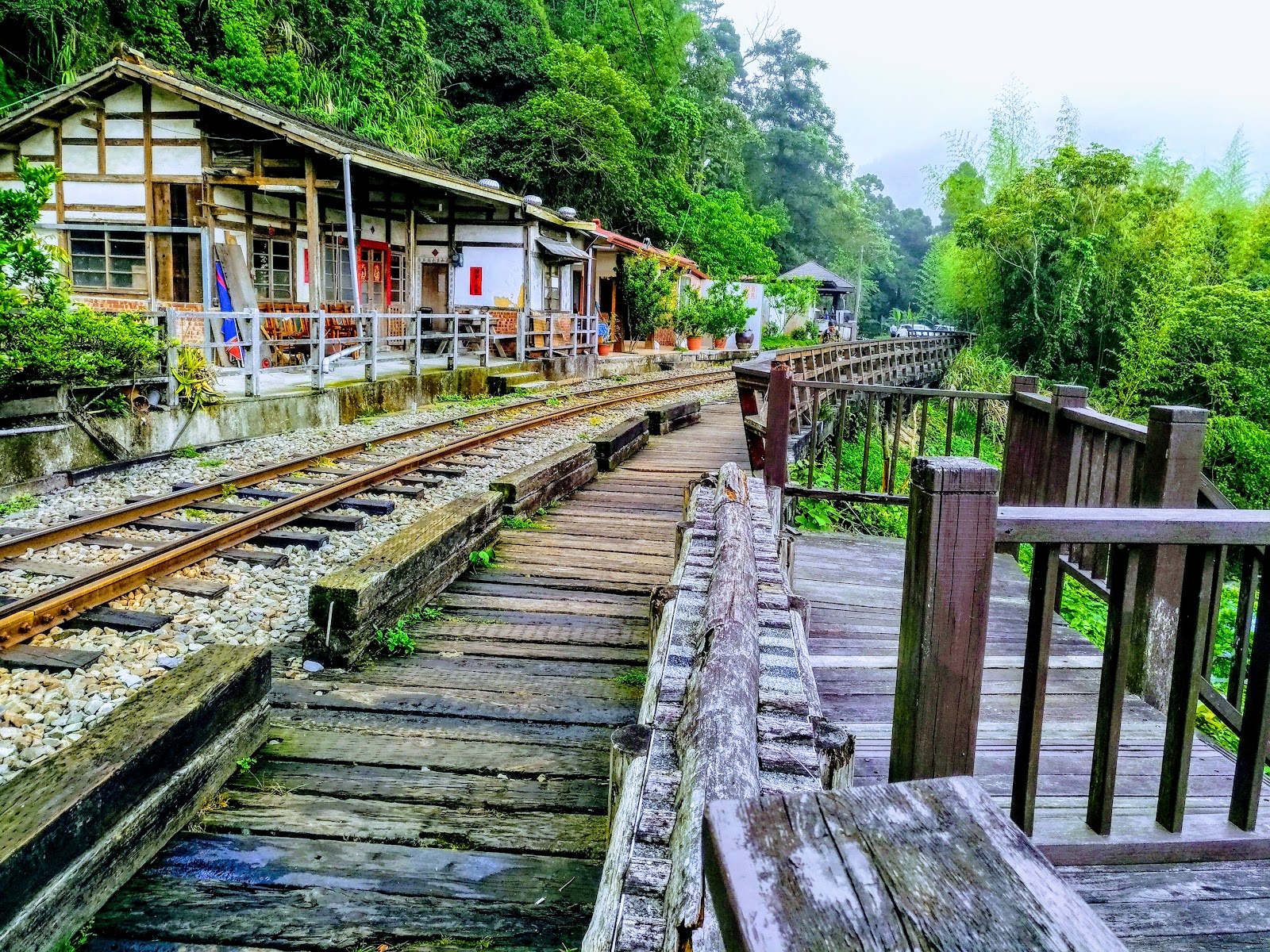 水社寮驛棧阿里山林鐵鐵道木棧步道，嘉義竹崎螢火蟲季必訪景點