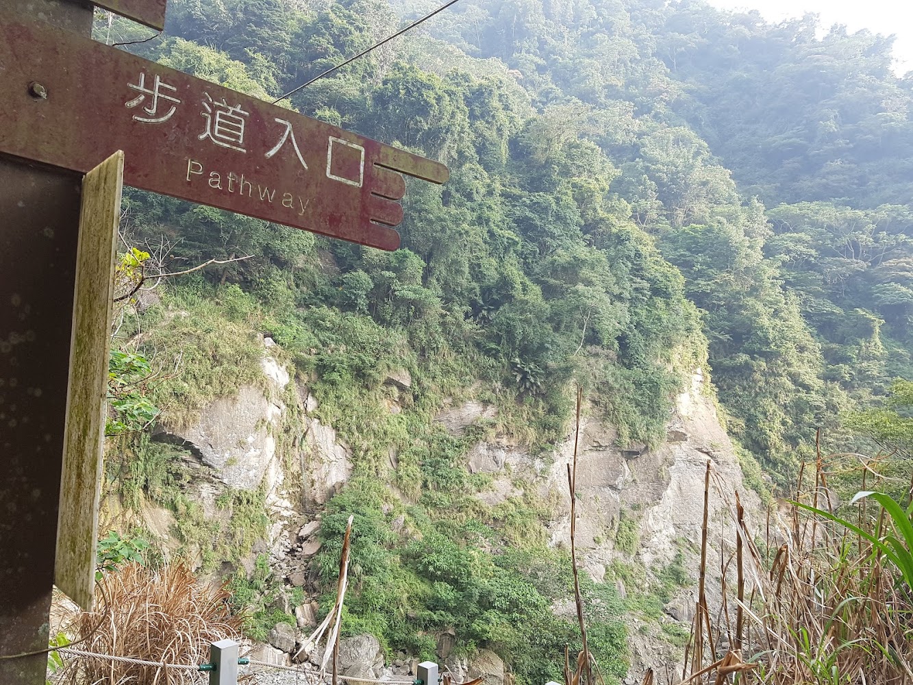峭壁雄風步道入口指示牌與山坡景觀