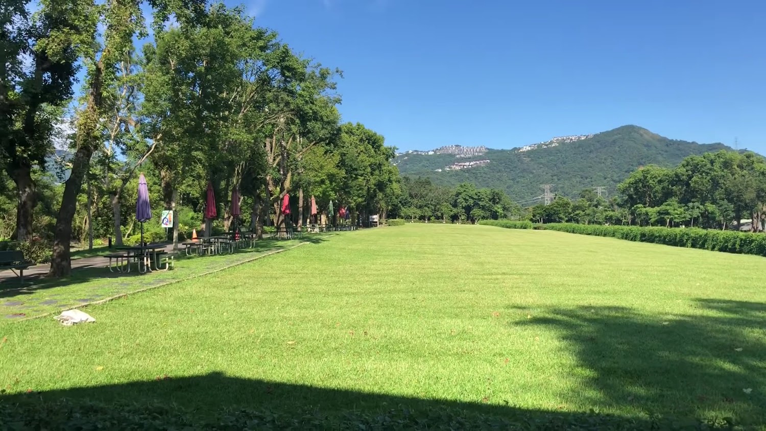 文山農場寬闊草地與戶外休憩桌椅