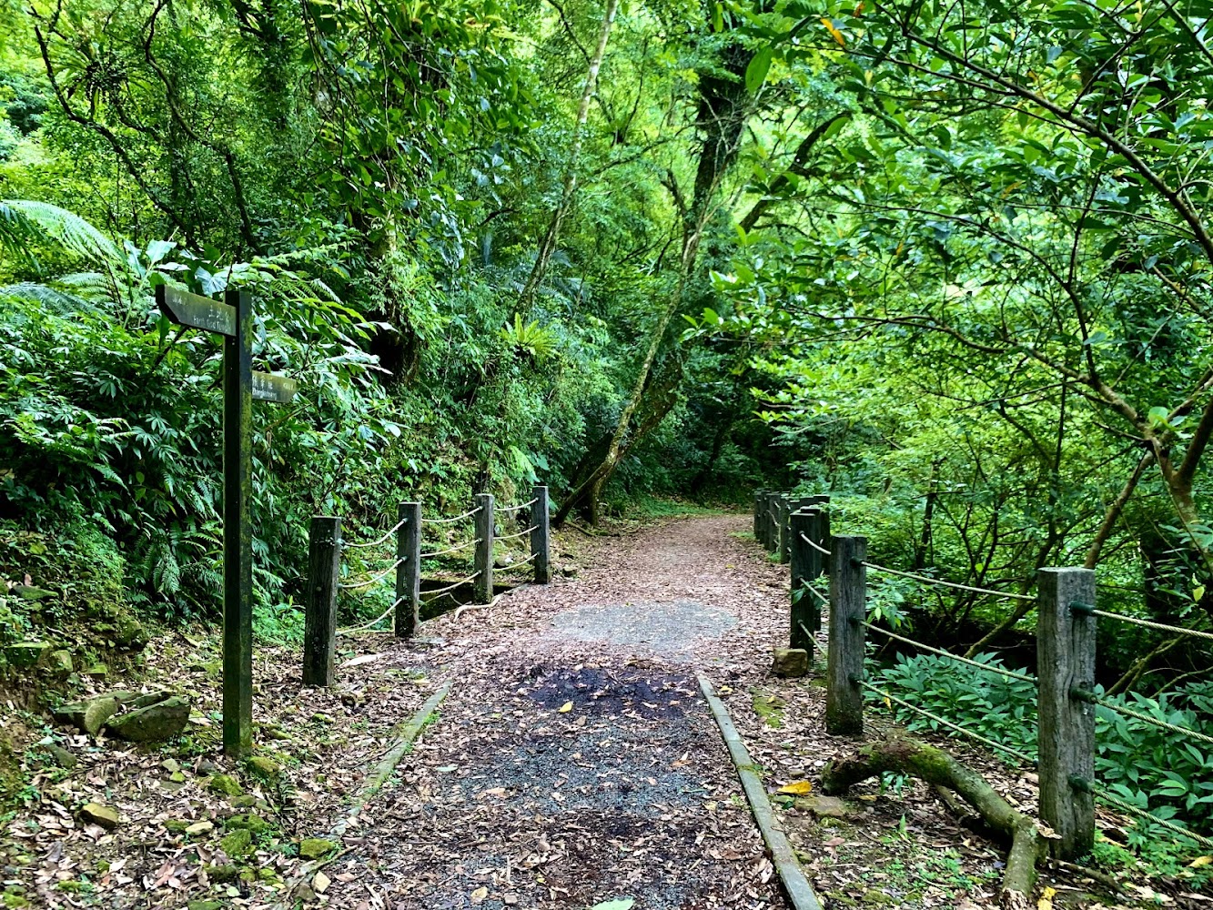 被樹木與綠植包圍的灣潭古道路徑,有指示牌與木欄杆