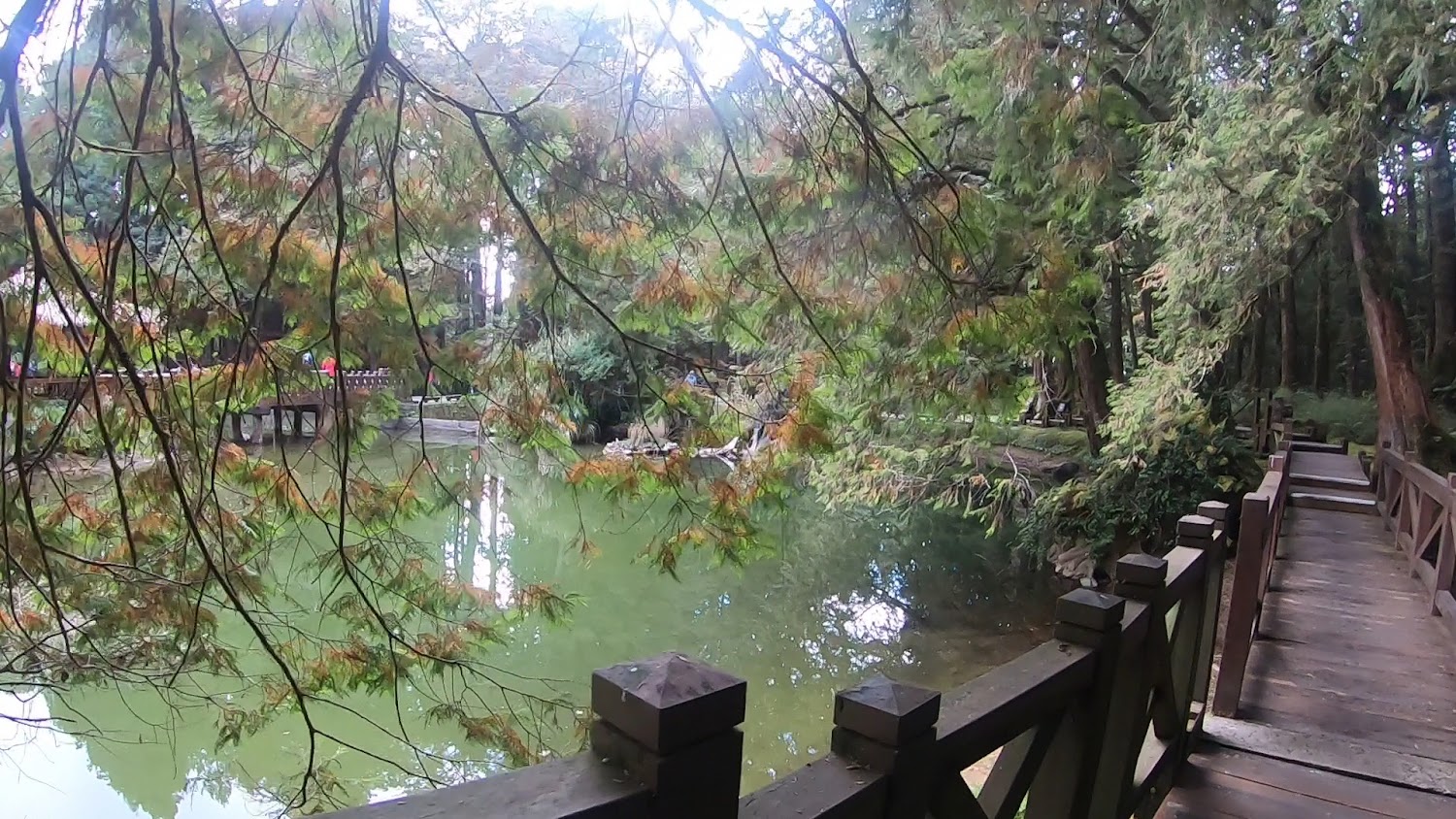 姊妹潭森林湖泊與步道