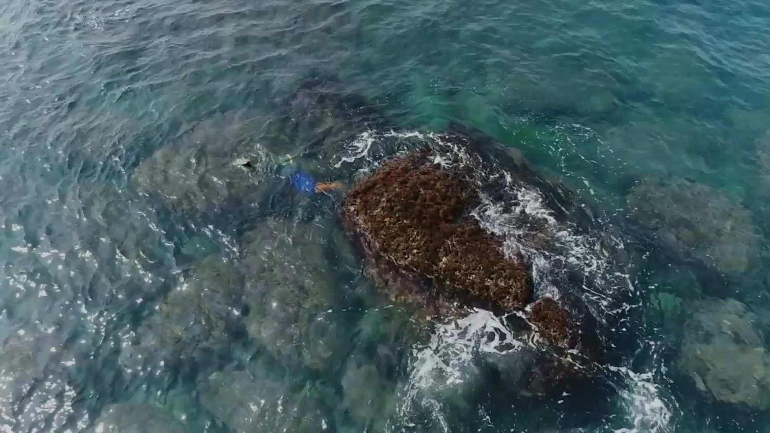 有人在清澈海水與岩石間浮潛探索