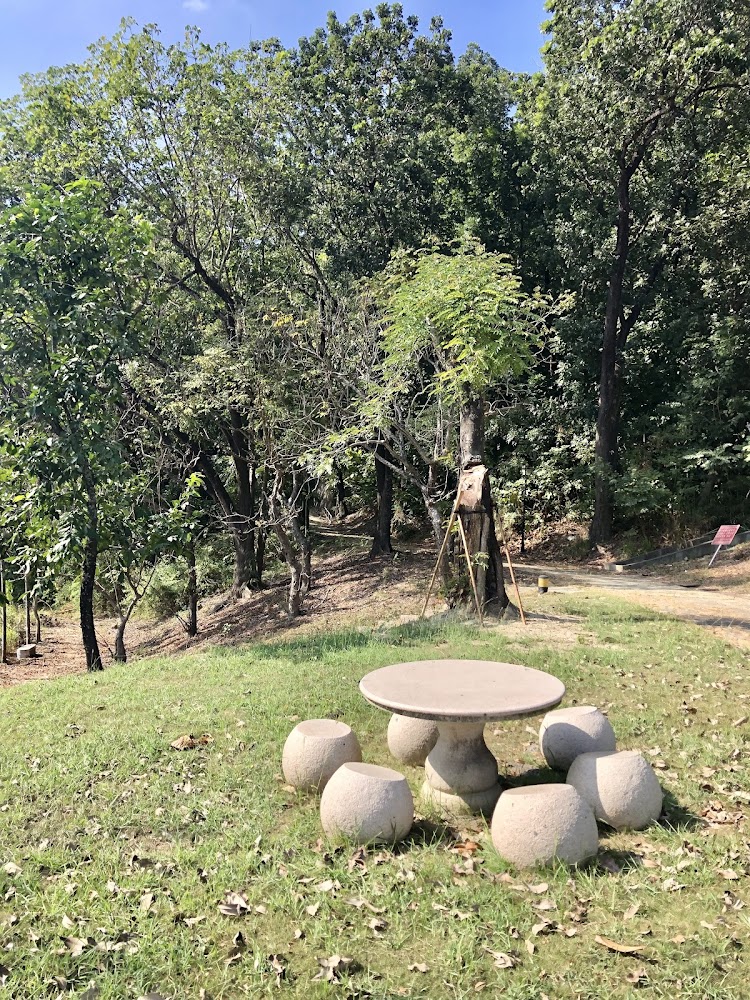 幻濂湖草地石桌椅與樹林