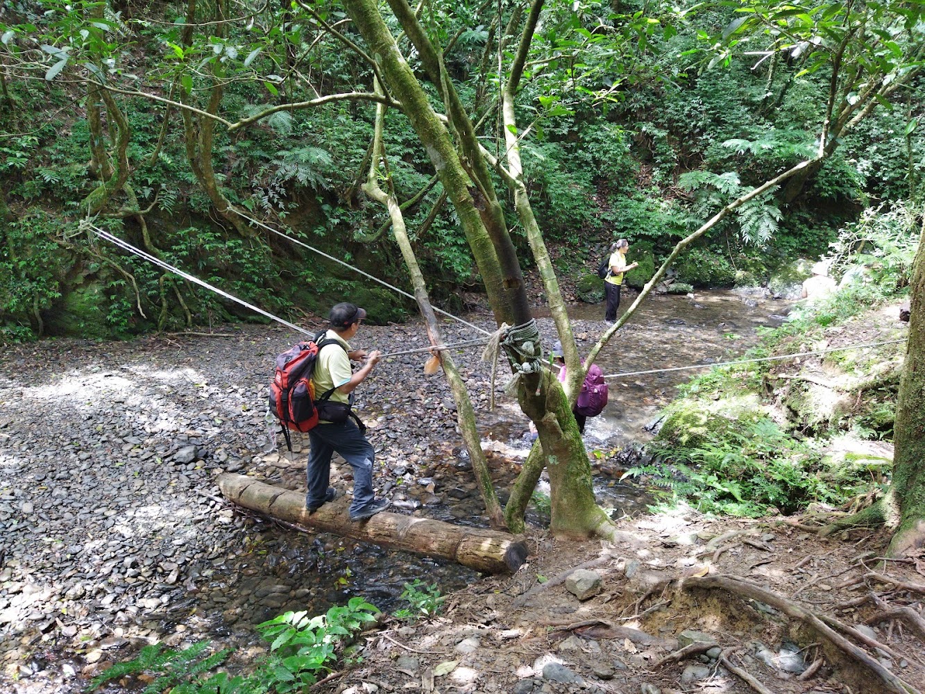登山客穿越溪流與簡易橋樑