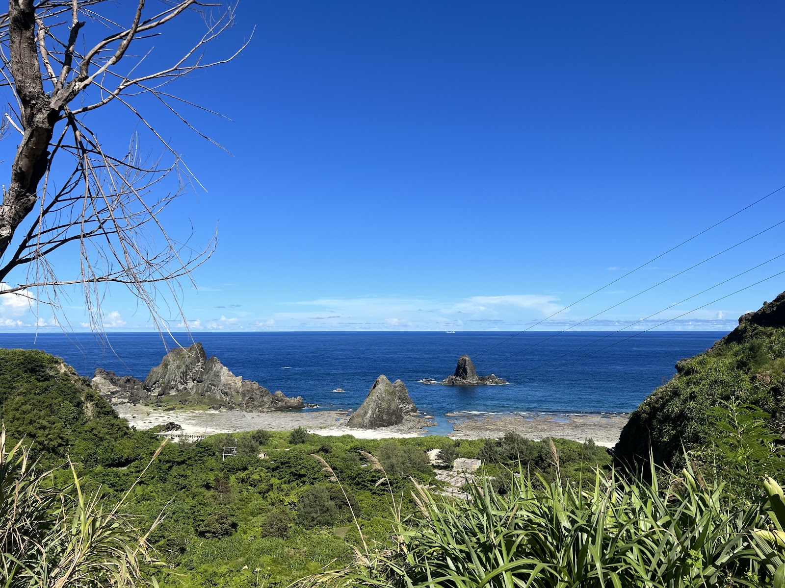 綠島礁岩聳立海面前景熱帶植物火山地形