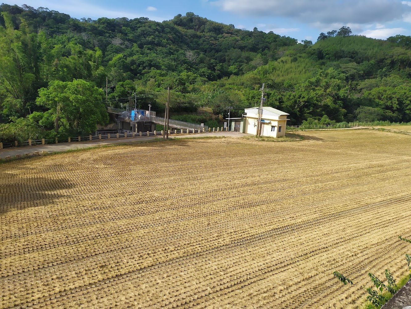 收割過的稻田、田邊小屋與後方山林