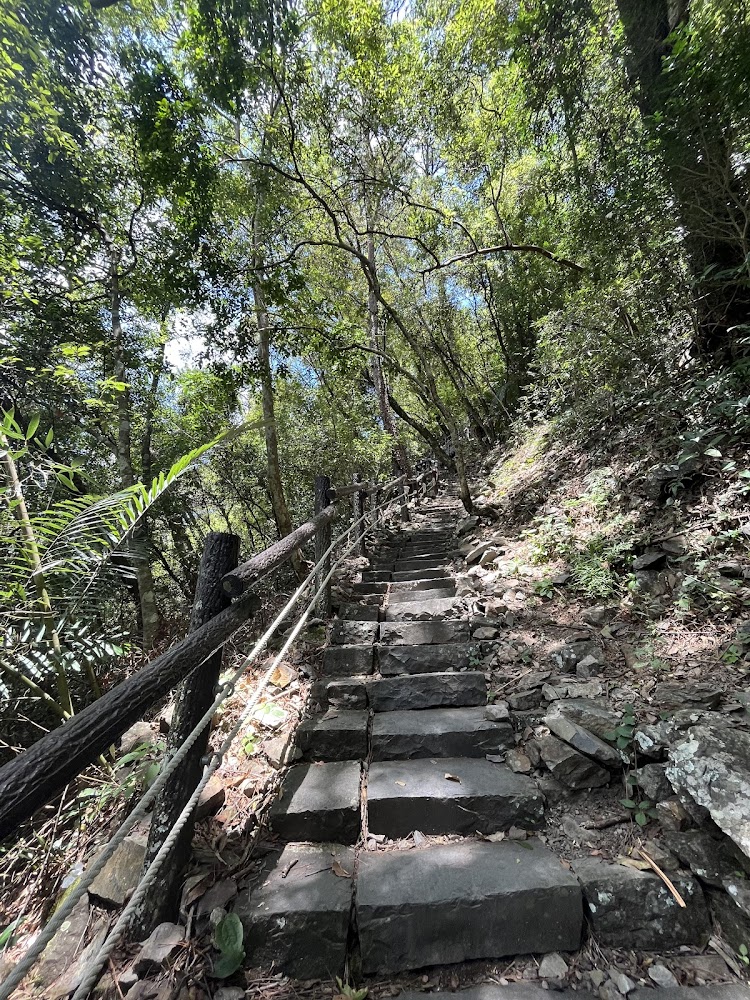 波津加山步道林間石階與繩索護欄