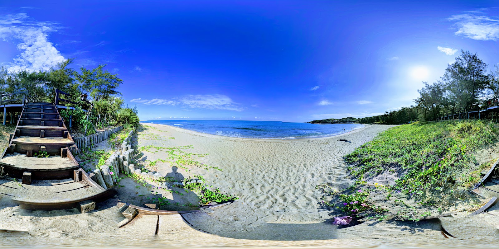 360度全景，木造階梯通往白沙海灘，兩旁松樹與濱海植被，碧藍海水晴空