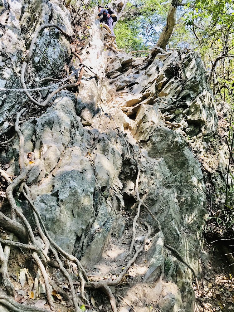 屋我尾山陡坡樹根拉繩路段