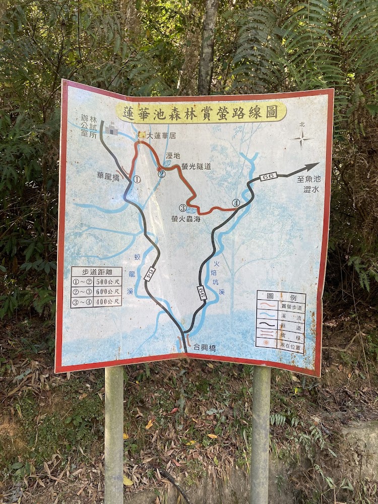 賞螢蛙鳴一蓮華池路線圖