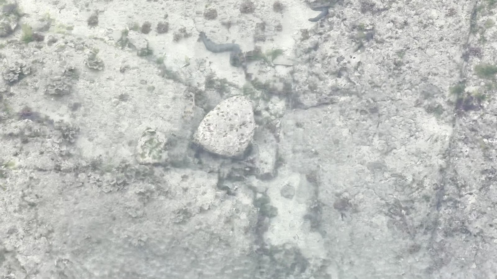 野柳蕈狀岩俯視近景特寫