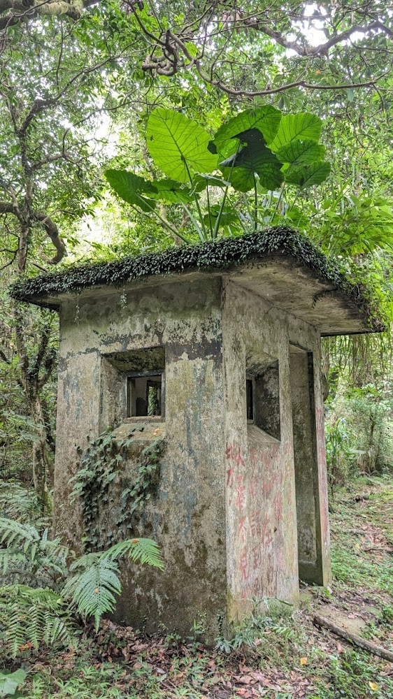 猴崁湖田國小步道森林中的舊水泥建物