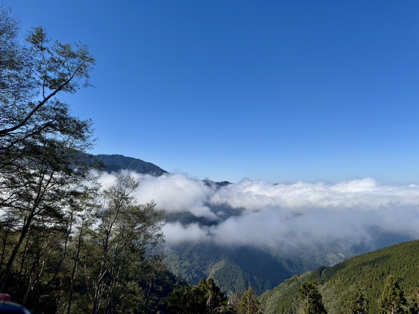 觀霧國家森林遊樂區遊客中心遠眺山景