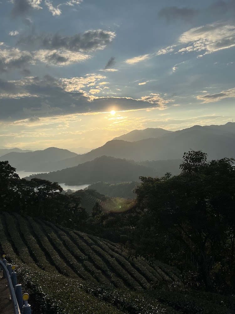 八卦茶園景觀台夕陽雲層與茶園湖景