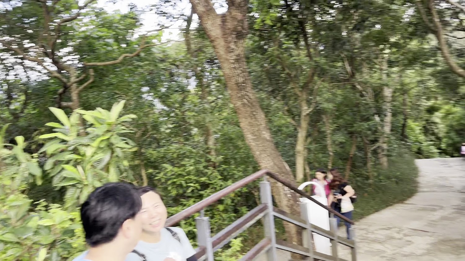 圓山風景區山林步道與休憩平台