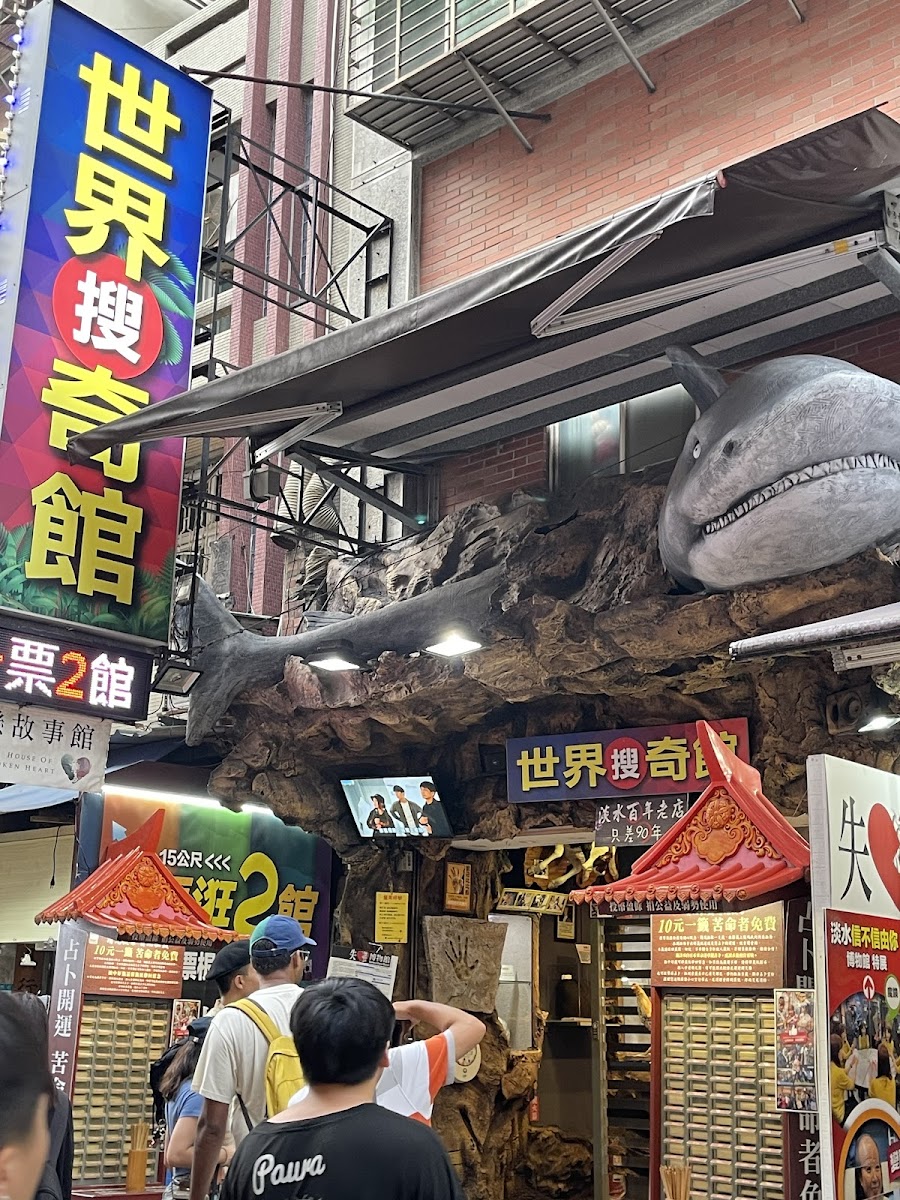淡水老街世界搜奇館門口巨大鯊魚裝飾模型，遊客聚集熱鬧老街氛圍