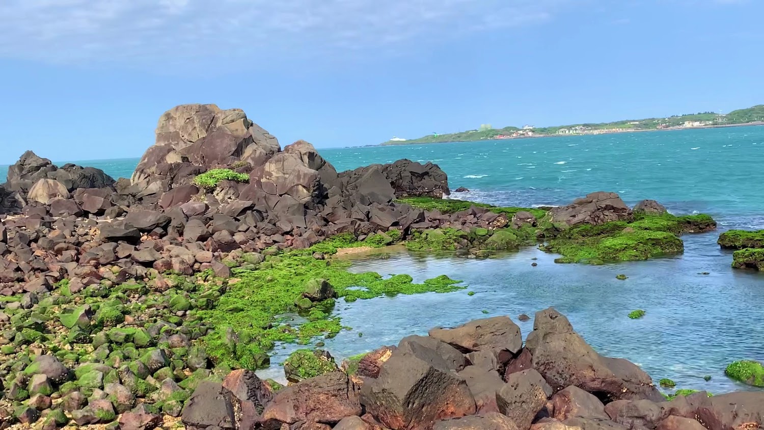 岩石海岸覆蓋綠色海藻，海水清澈通透