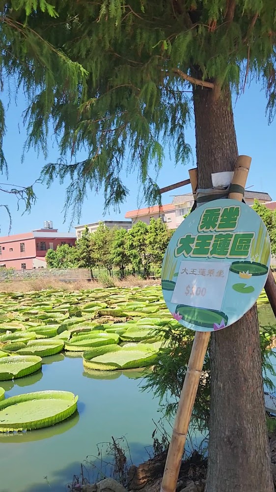 觀音蓮花園乘坐大王蓮區