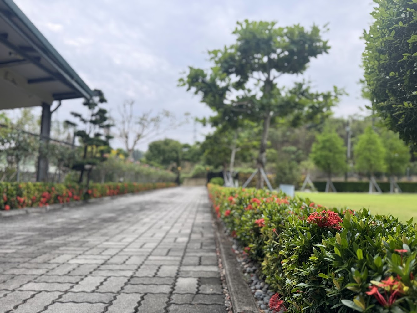 葉媽的莊園園區步道與花卉景觀