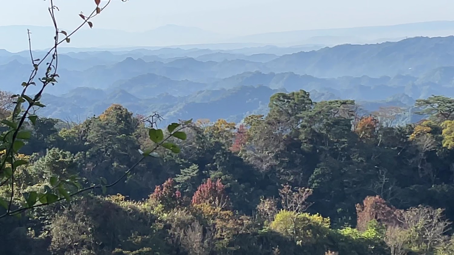 這張圖片主要展現層層疊疊的山巒景色，前景有濃密的樹林和色彩斑斕的樹葉，遠方則是藍色山脈，呈現自然生態與遼闊的視野。