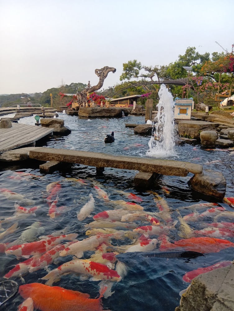 錦鯉魚池與噴泉步道景觀