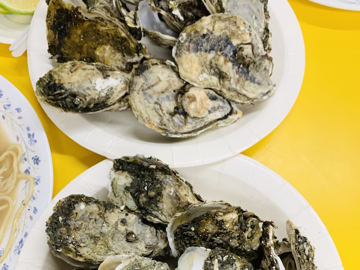 東石新鮮蚵仔牡蠣特寫