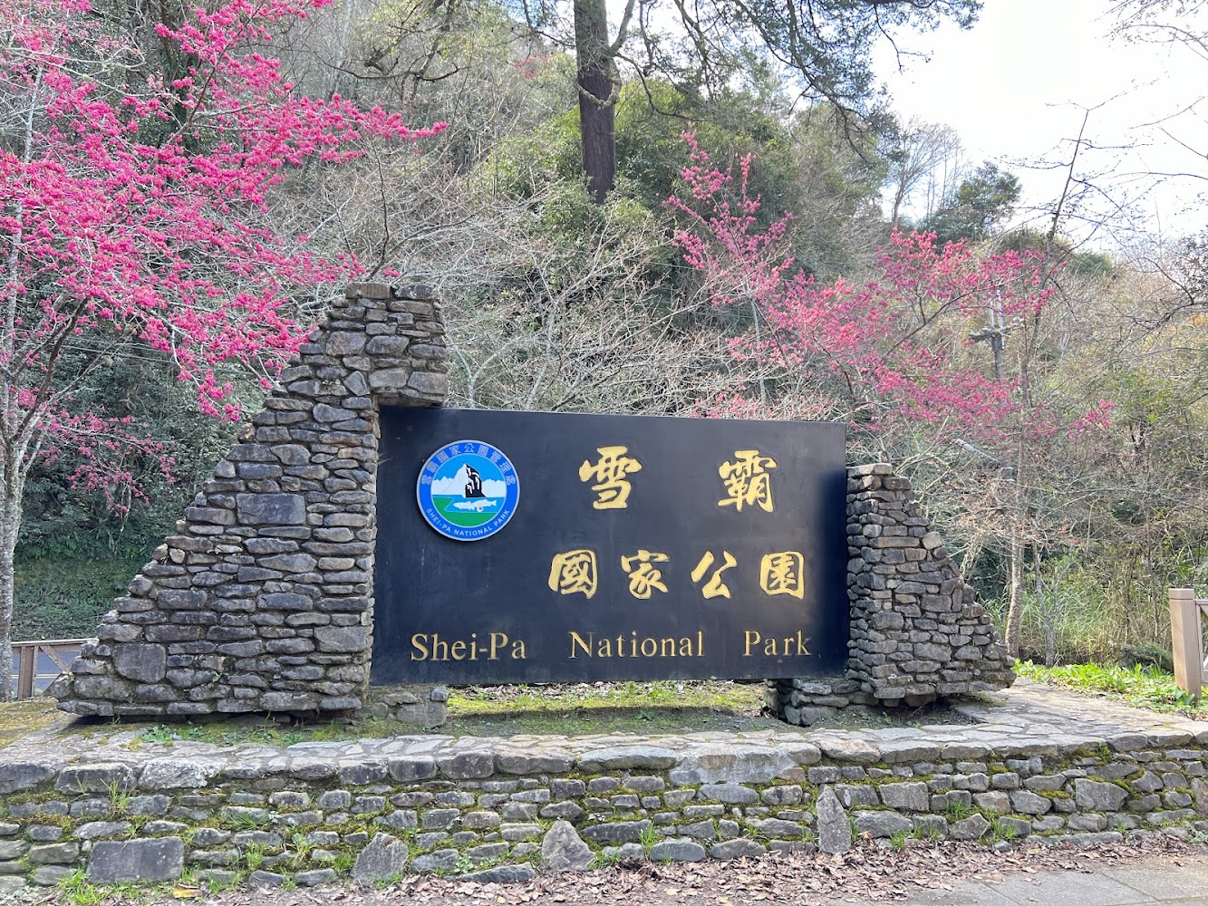 雪霸國家公園入口石碑與櫻花景色