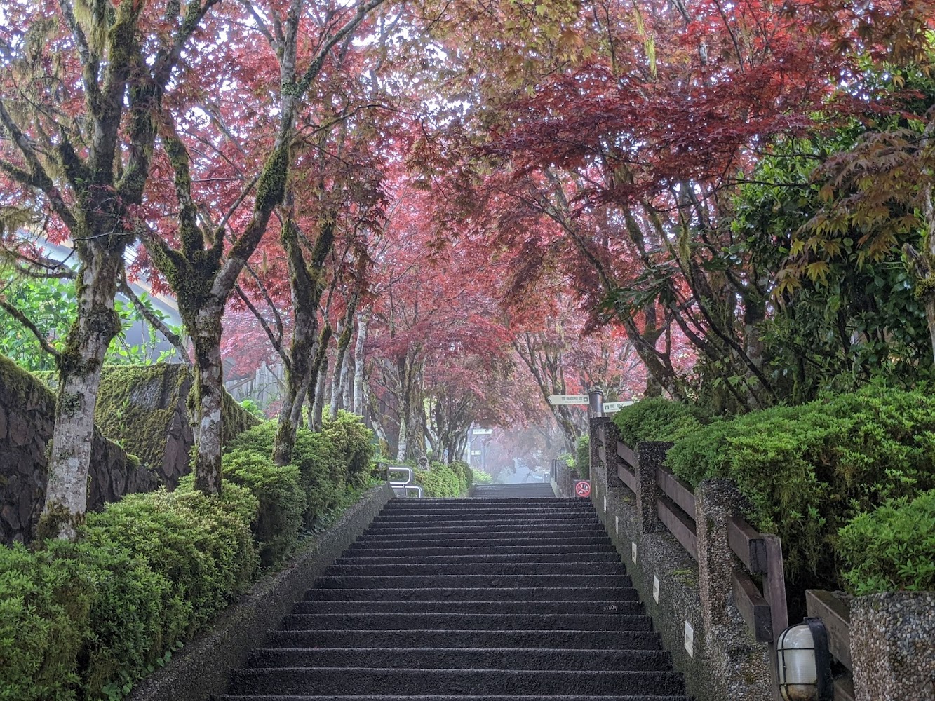 兩側紅楓環繞的石階步道