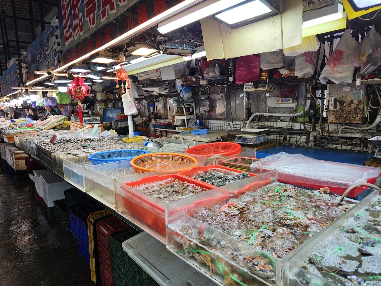 蚵仔寮魚市場各式新鮮貝類與魚貨攤位